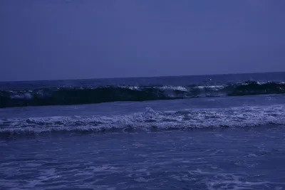 DSC_2141 (Large).JPG